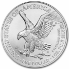 2024 1 oz American Eagle Silver Coin